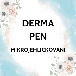 derma pen mikro